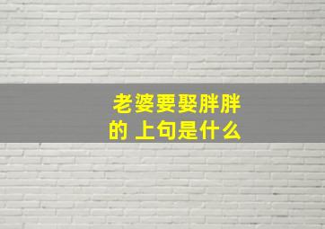 老婆要娶胖胖的 上句是什么